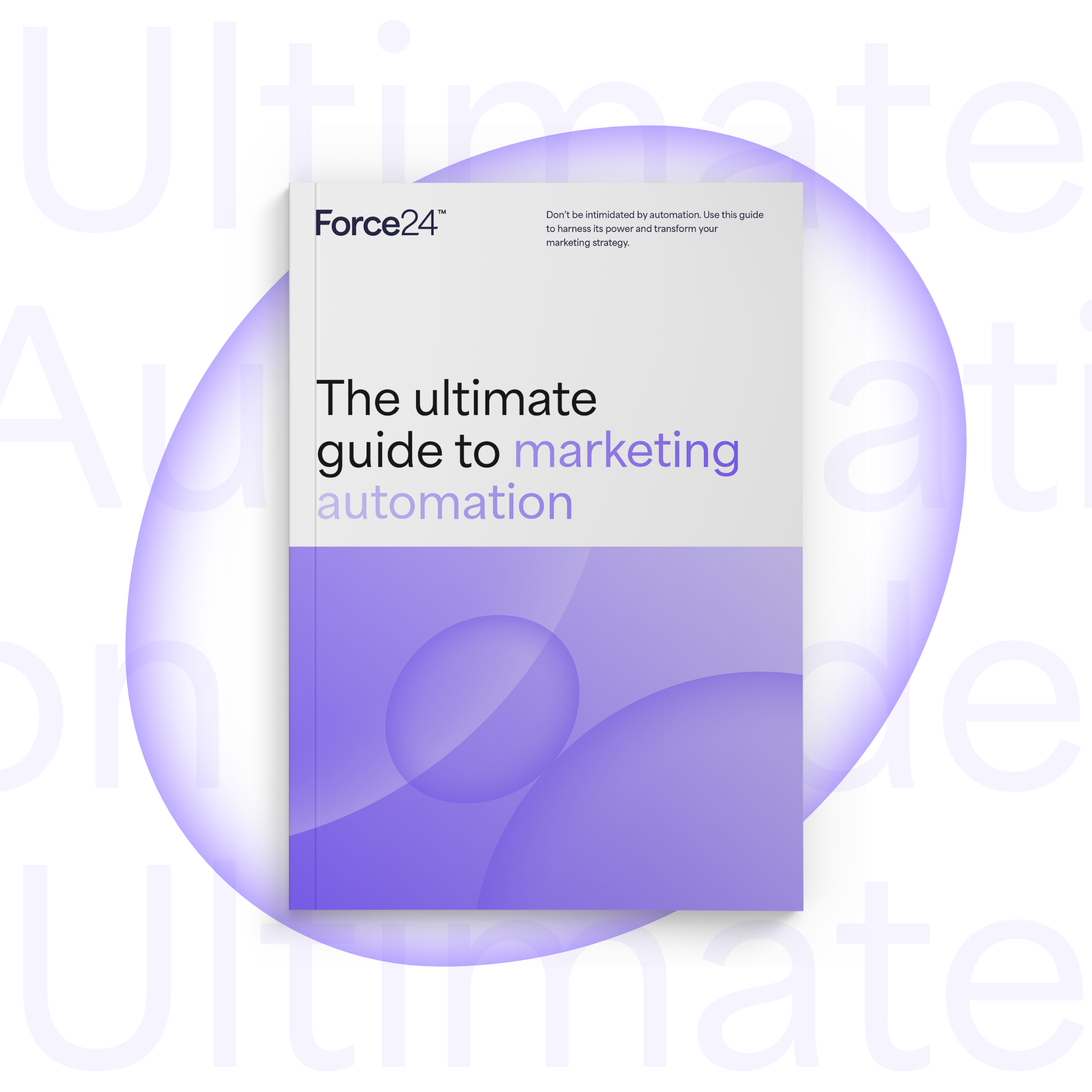 Ultimate Automation Guide – Light@2x